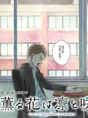 舞台之王音乐综艺免费观看